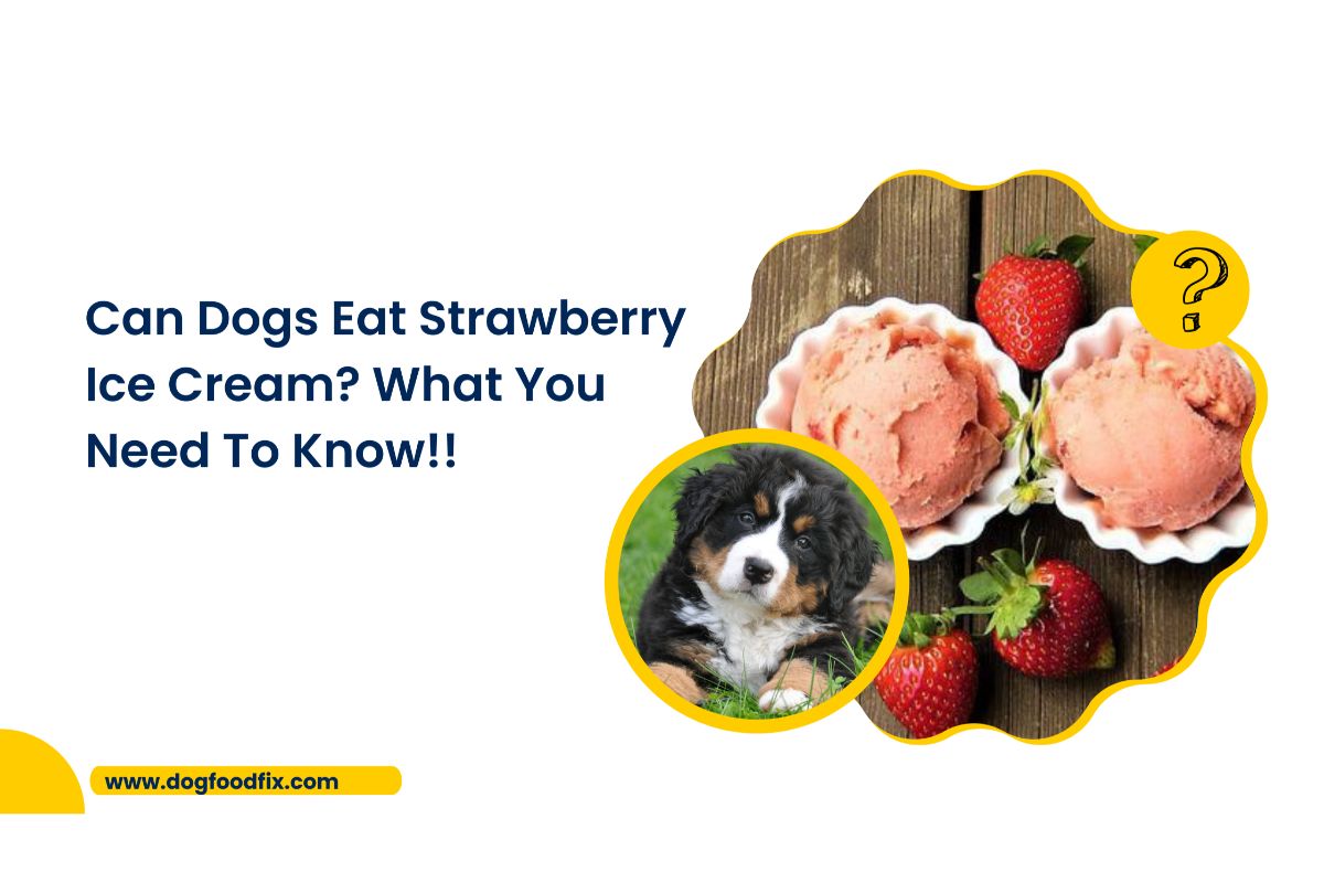 Can Dogs Eat Strawberry Ice Cream? What You Need To Know!!