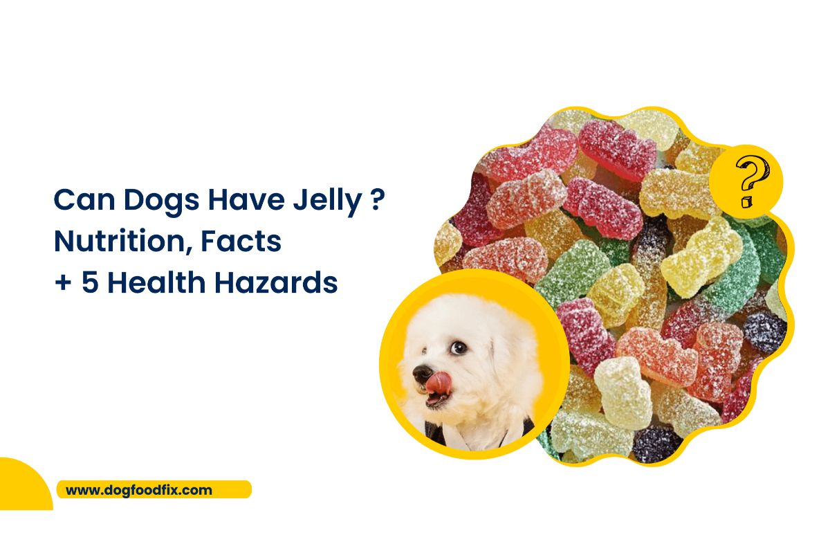 Can Dogs Have Jelly ?