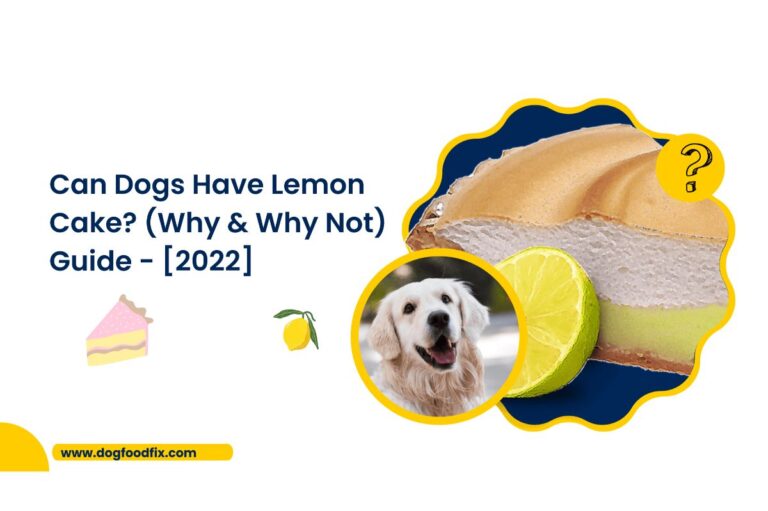 Can Dogs Have Lemon Cake? (Why & Why Not) Guide - [2022]