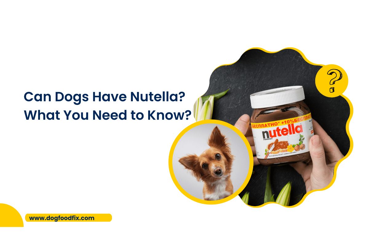 Can Dogs Have Nutella? - [What You Need to Know] - 2022