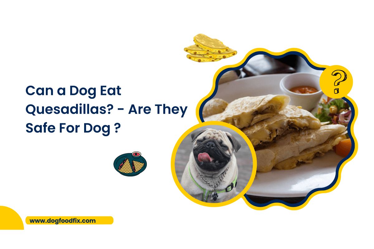 Can a Dog Eat Quesadillas? - Are They Safe For Dog ?