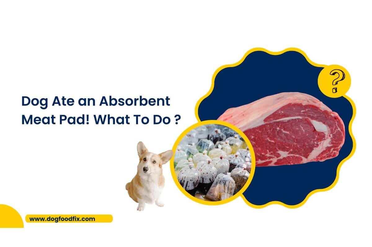 Dog Ate an Absorbent Meat Pad! What To Do ?