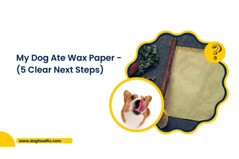 My Dog Ate Wax Paper : (5 Clear Next Steps) - May 2022 Revised