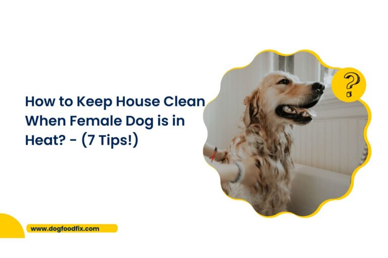 How to Keep House Clean When Female Dog is in Heat
