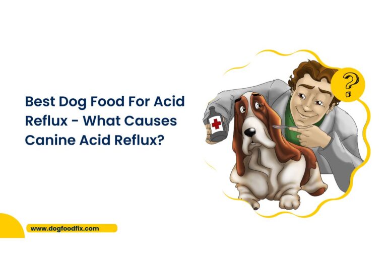 Best Dog Food For Acid Reflux