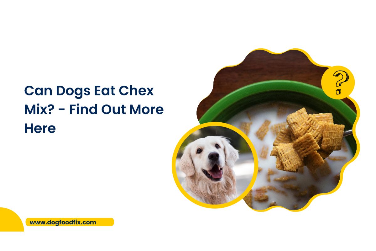 Can Dogs Eat Chex Mix