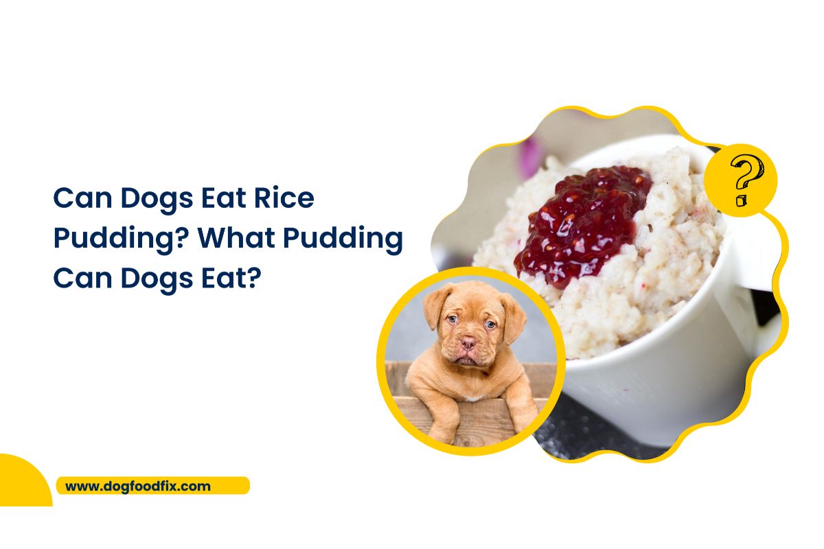 Can Dogs Eat Rice Pudding