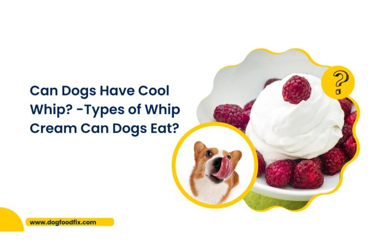 Can Dogs Have Cool Whip