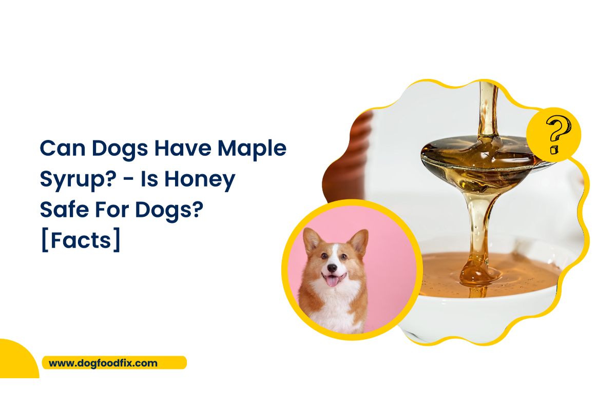Can Dogs Have Maple Syrup