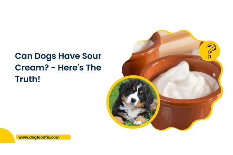 Can Dogs Have Sour Cream