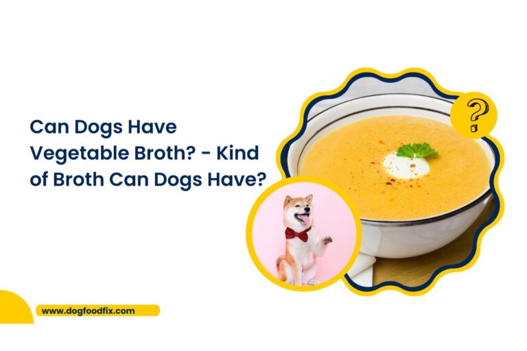 Can Dogs Have Vegetable Broth