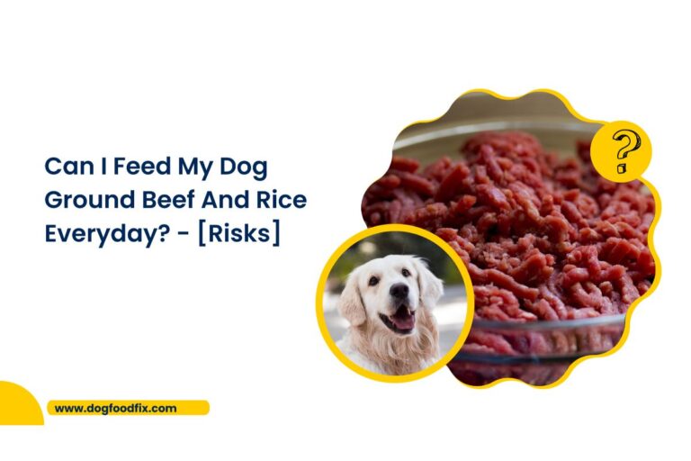 Can I Feed My Dog Ground Beef And Rice Everyday?