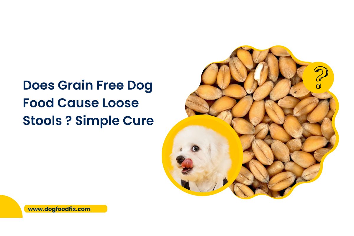 Does Grain Free Dog Food Cause Loose Stools