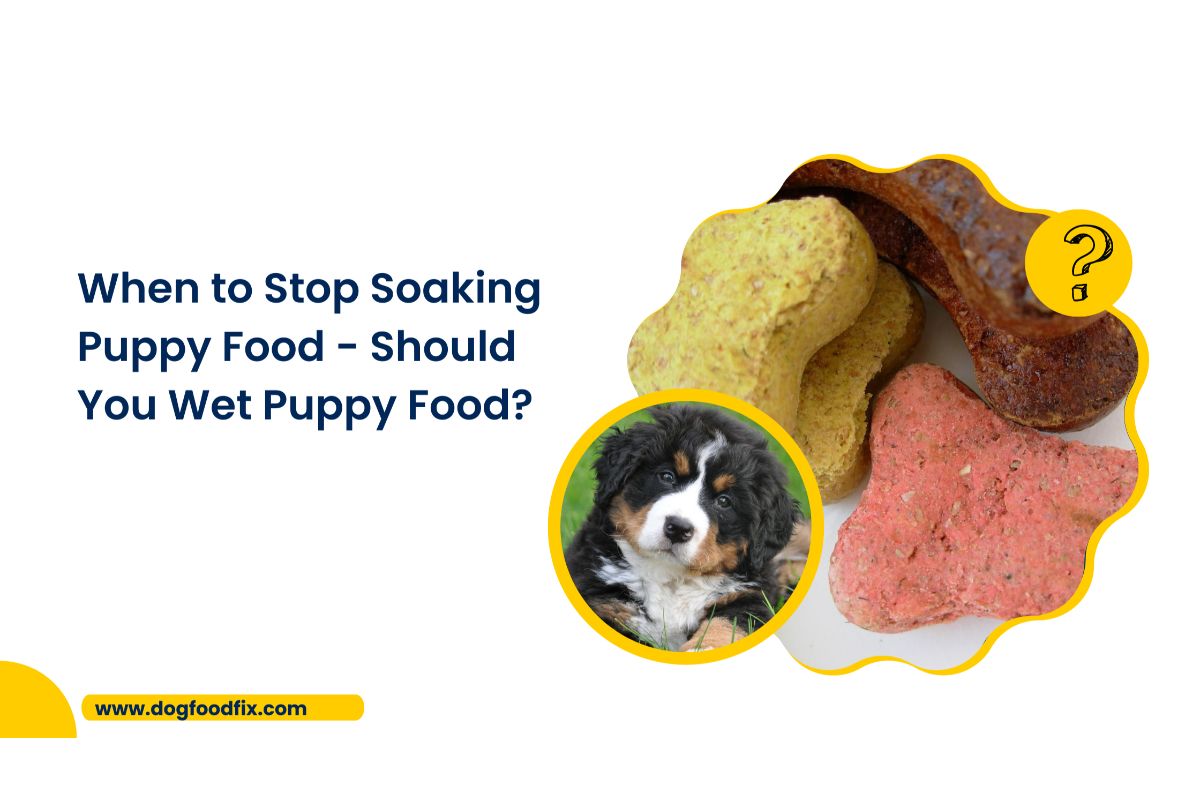 should you soak puppy food